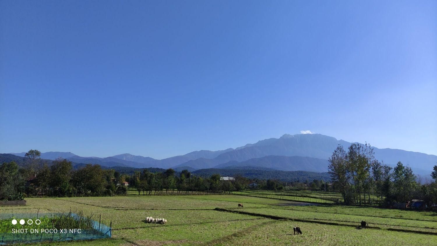 اجاره روزانه/هفتگی سوئیت ۸۵ متری در سراوان رشت|اجارهٔ کوتاه‌مدت آپارتمان و سوئیت|رشت, حومه رشت|دیوار
