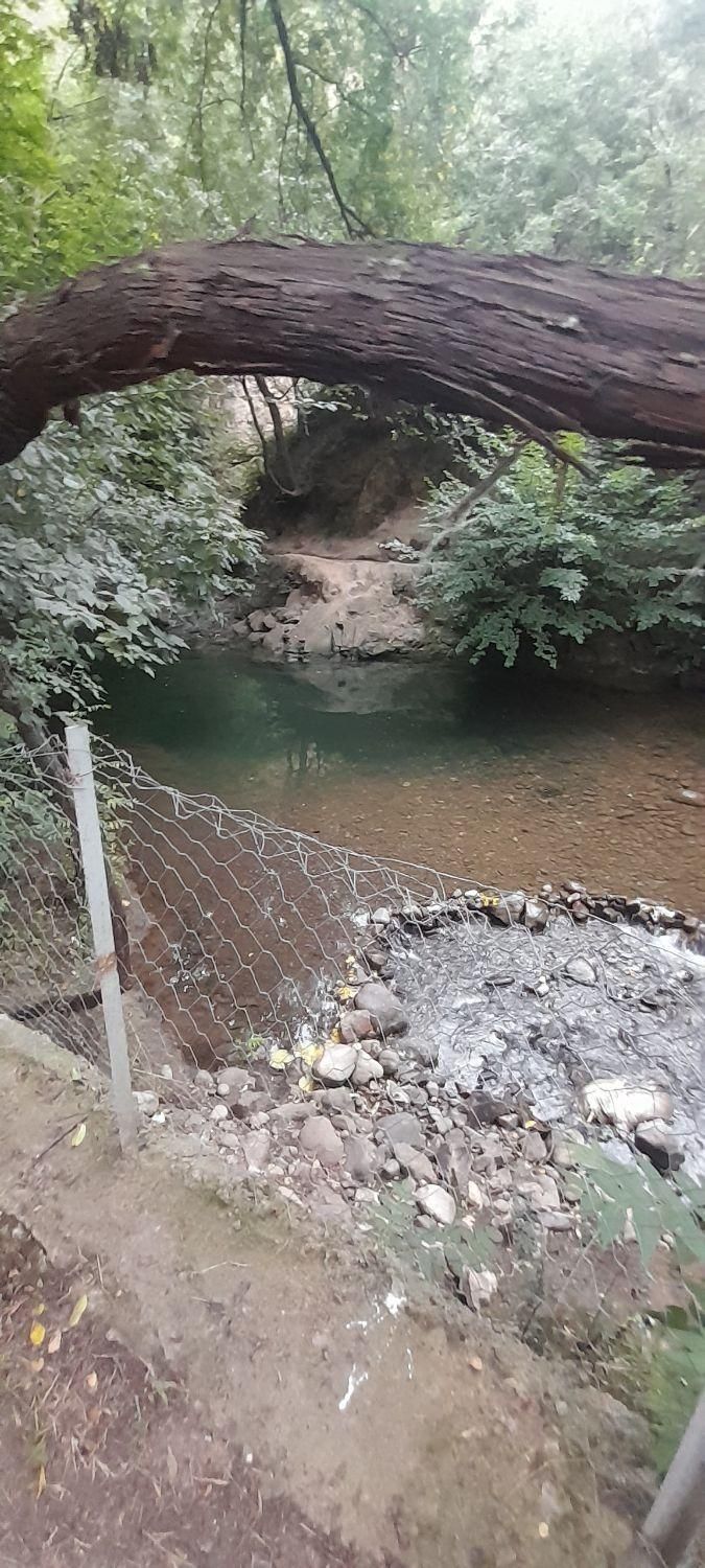 اجاره سوییت باغ دربست کناررودخانه باکلیه امکانات|اجارهٔ کوتاهمدت آپارتمان و سوئیت|رودبار, |دیوار