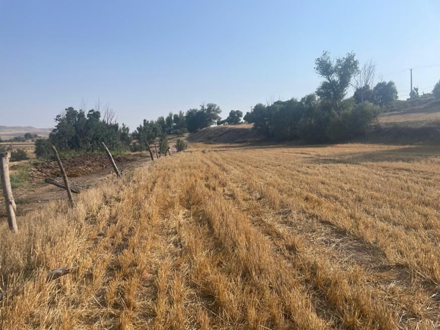 فروش زمین ۳۰۰ متری|فروش خانه و ویلا|کوراییم, |دیوار