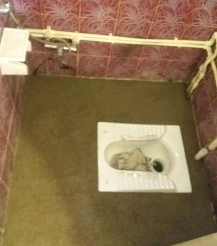 رفع محل زردی گچ و رفعنم استا اصغر|خدمات پیشه و مهارت|بجنورد, |دیوار