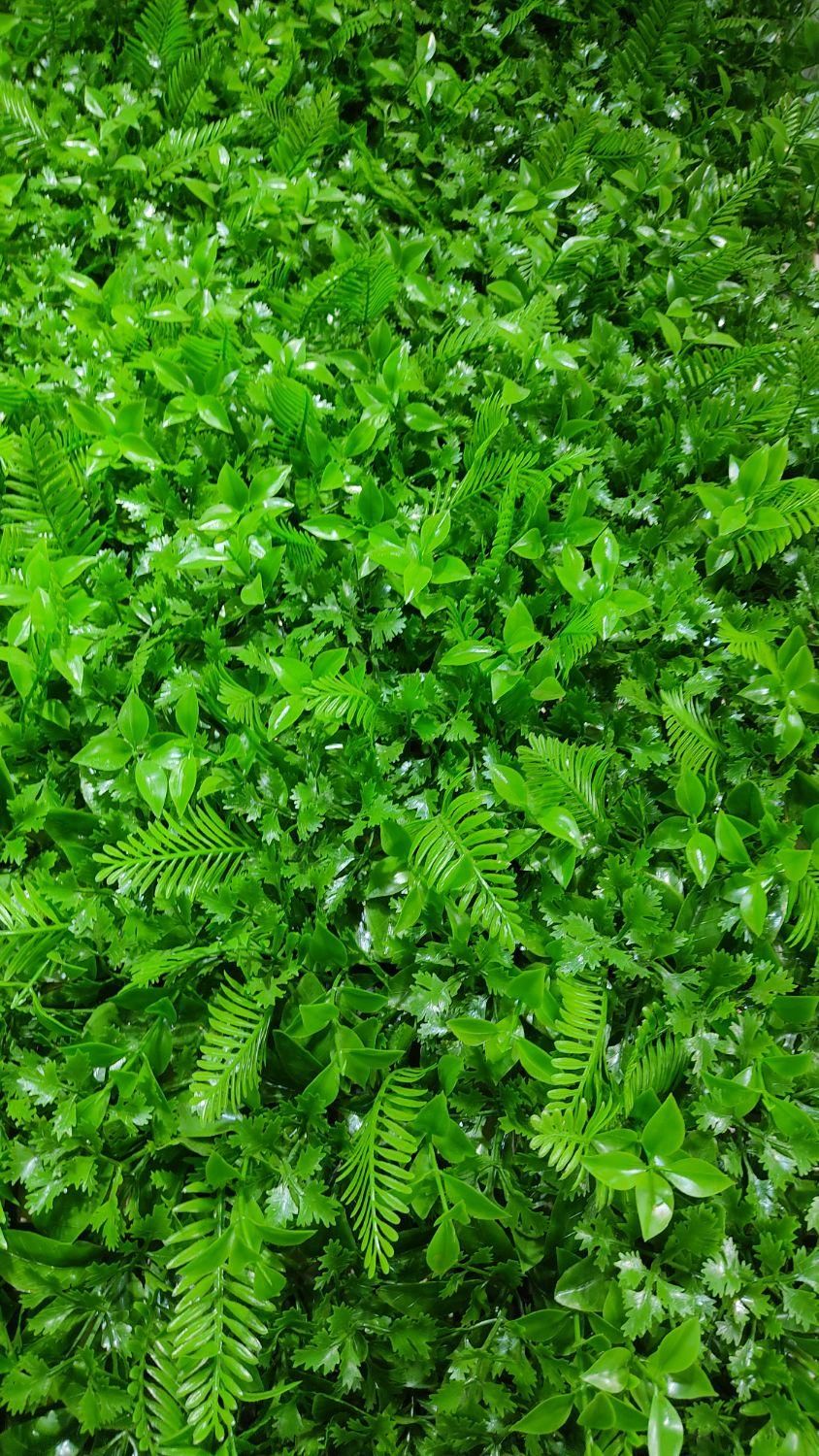 چمنِ دیواری دیوارسبز|خدمات باغبانی و درختکاری|تبریز, |دیوار