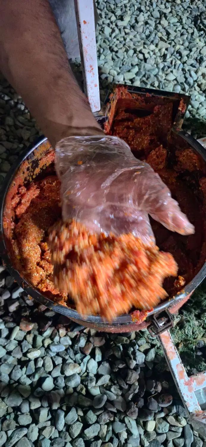 گوجه همراه دستگاه تمام اتوماتیک ارسال درب منزل|عمده‌فروشی|محمدشهر, عباس آباد|دیوار