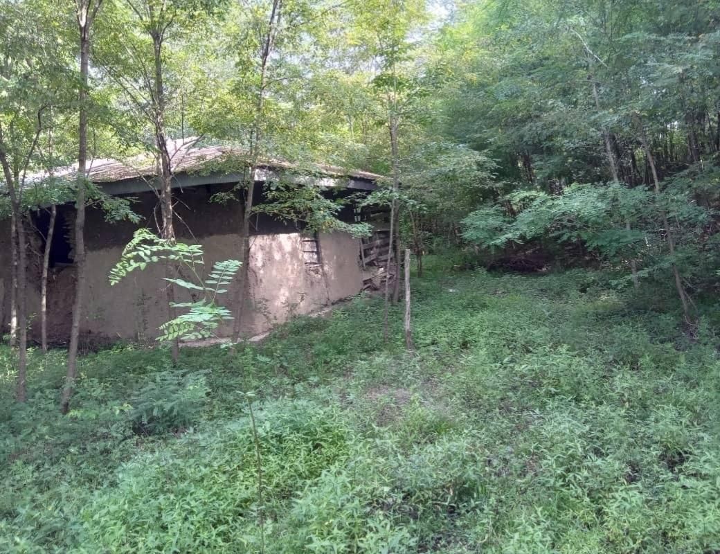 فروش ۳۶۵۵زمین مسکونی گیلان روستای توریستی کچا|فروش زمین و ملک کلنگی|تهران, امین حضور|دیوار