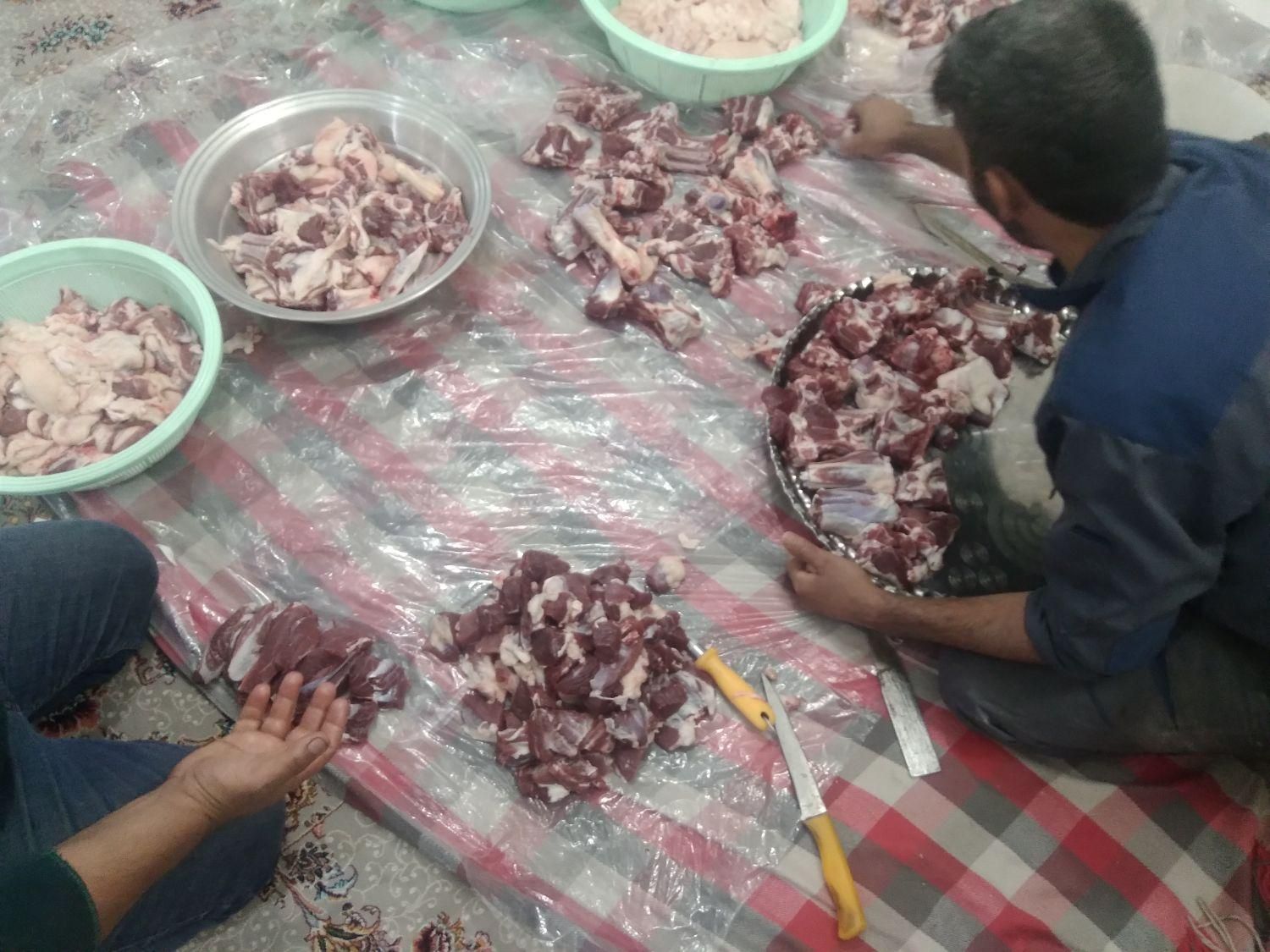 قصاب دام گاو گوساله شتر وشتر مرغ ...|خدمات پذیرایی، مراسم|مشهد, دانشجو|دیوار