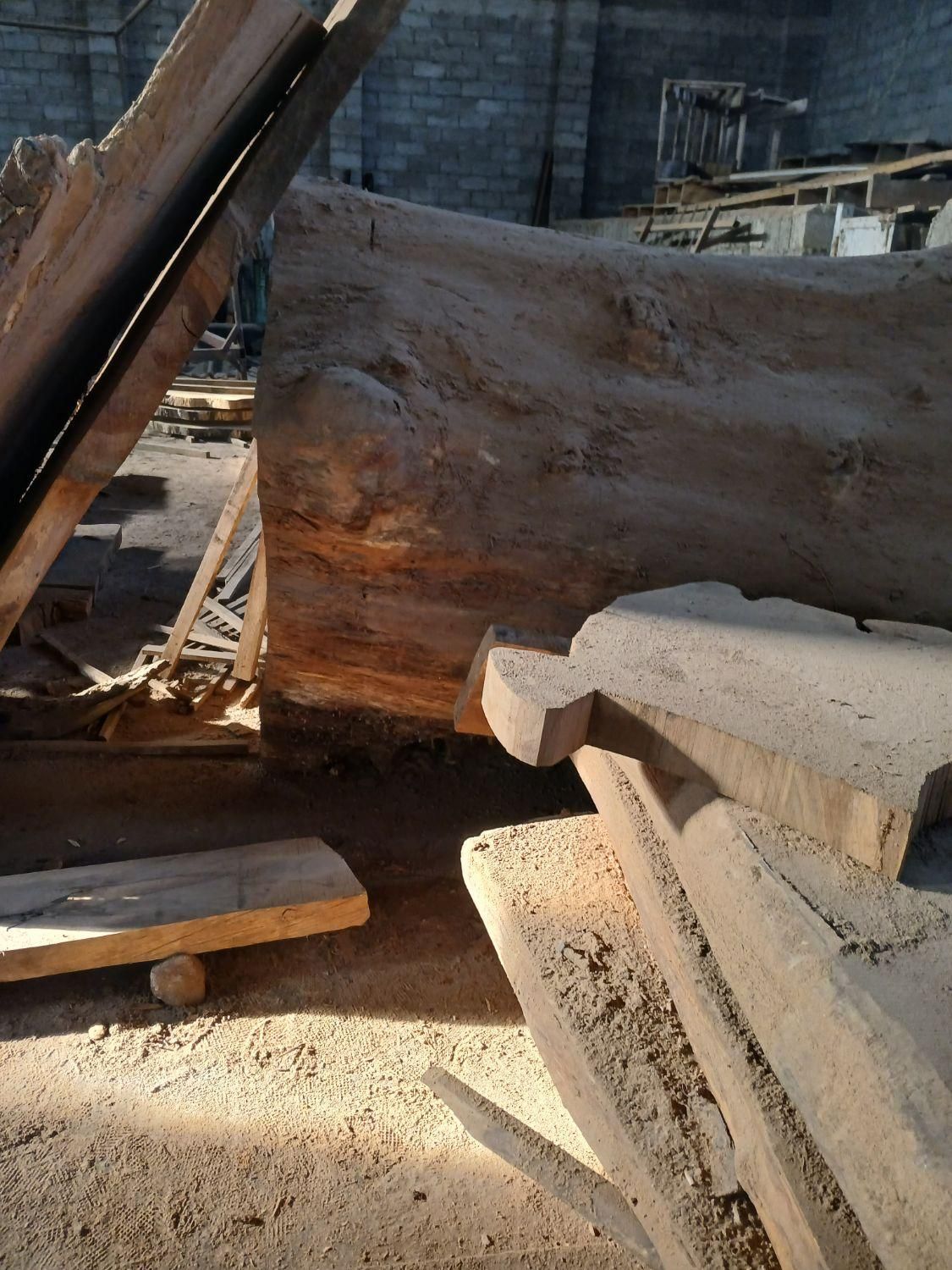 اسلب چوب تنه کالباسی تخته|عمدهفروشی|طاهرگوراب, |دیوار