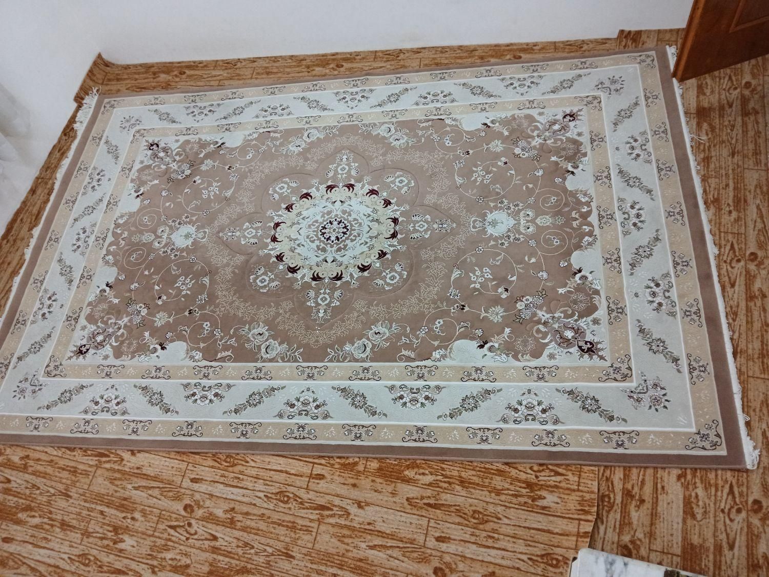 فرش ۶متری شونهر|فرش|رشت, پاستوریزه|دیوار