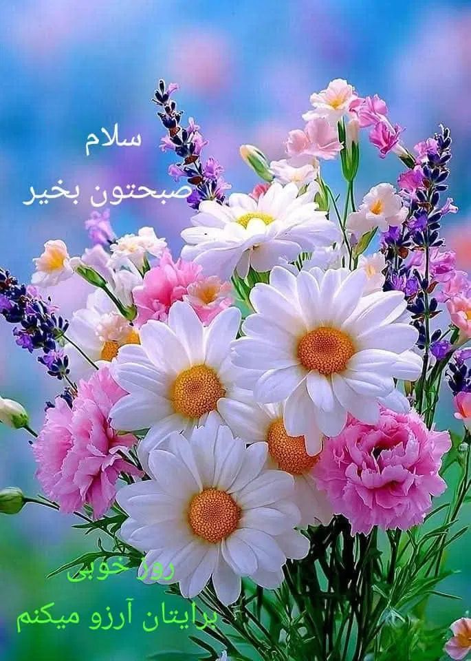 وام فوری میخوام|فعالیت داوطلبانه|تهران, استاد معین|دیوار