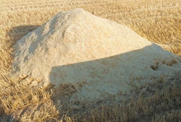یک گونی کاه|حیوانات مزرعه|تهران, افسریه|دیوار