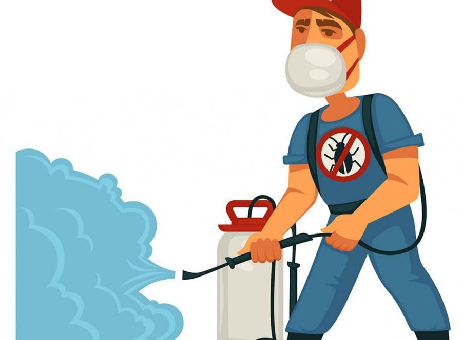 سمپاشی تخصصی سوسک ساس موریانه|خدمات نظافت|صدرا-فارس, فاز ۱|دیوار