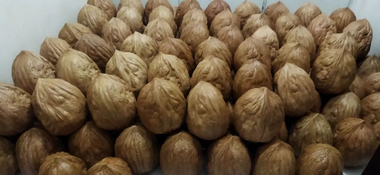 گردو(بسته بندی)|خوردنی و آشامیدنی|تهران, تهرانپارس شرقی|دیوار