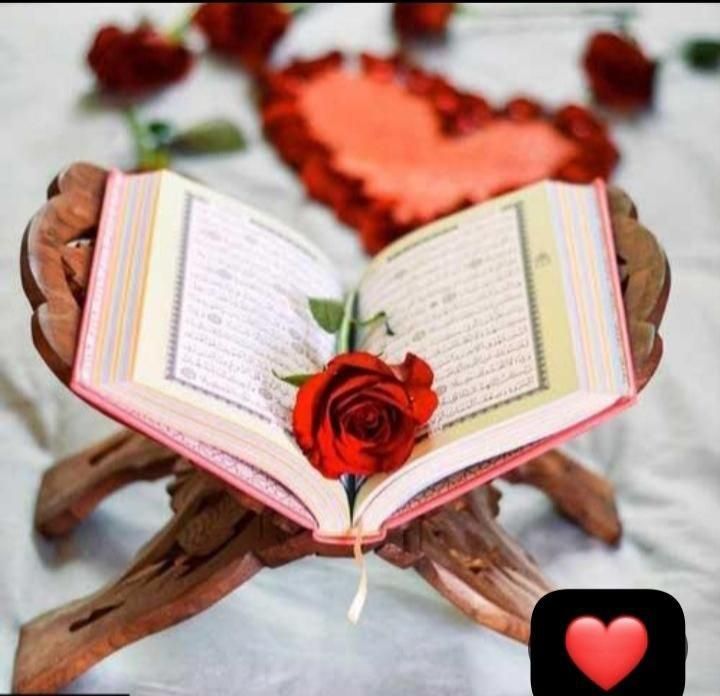 سرکتاب قرآن|کتاب و مجله مذهبی|بندر ماهشهر, |دیوار