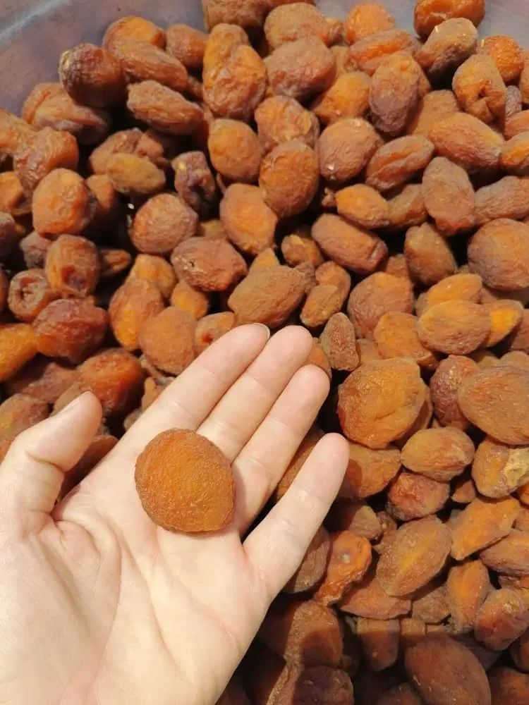 انواع خشکبار|خوردنی و آشامیدنی|تهران, سعادت‌آباد|دیوار