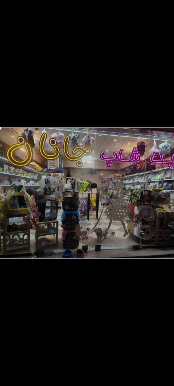 پت شاپ فعال مناسب تمام مشاغل، میوه، پروتئین، غیره|اجارهٔ مغازه و غرفه|تهران, شیان|دیوار