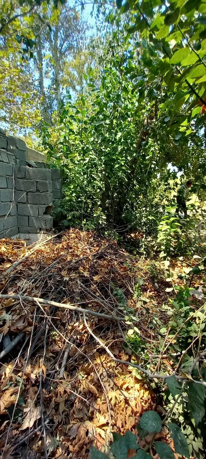 باغچه سنددار/۱۱۱۲متر/۵۶متربر به خیابان/شهرک ناز|فروش خانه و ویلا|مشکین‌دشت, |دیوار