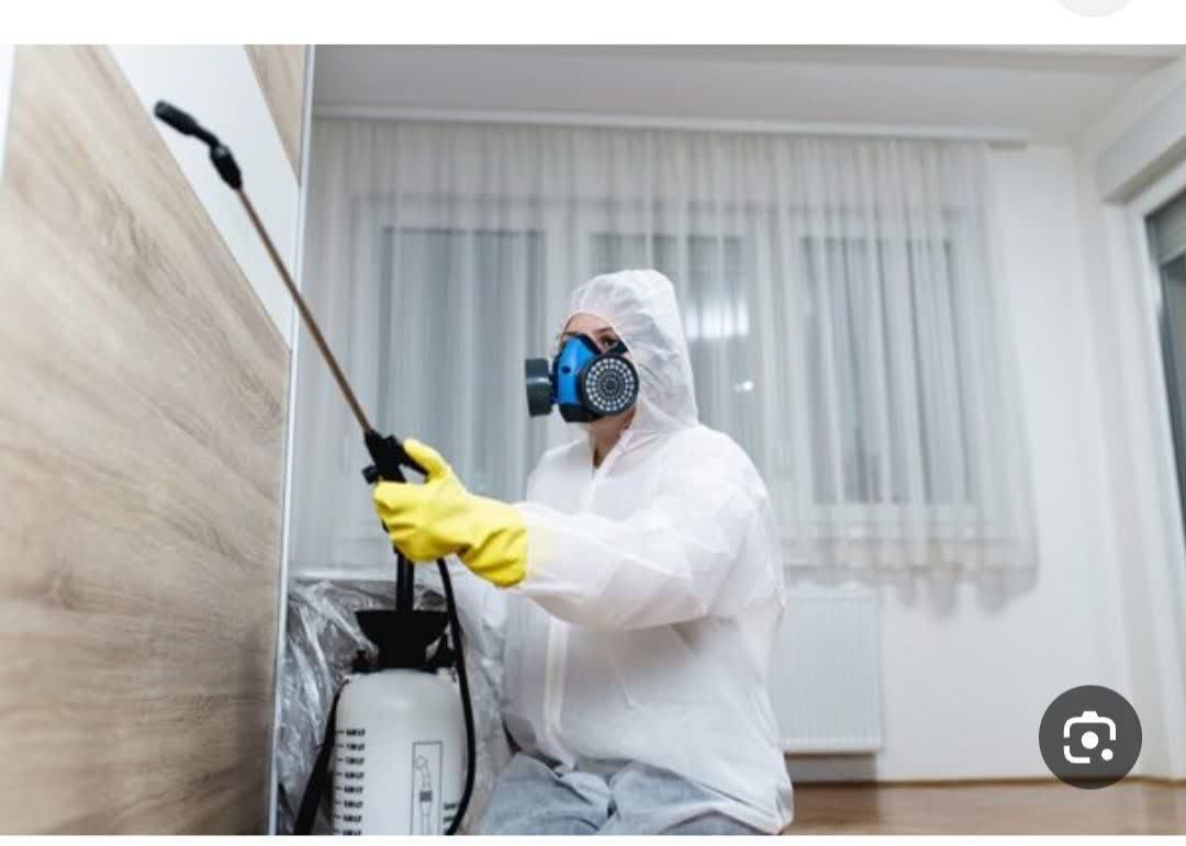 سم پاشی تخصصی ساس وکنه کبوتری|خدمات نظافت|اراک, |دیوار