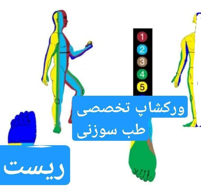 آموزش ماساژدرمانی بامدرک معتبر|خدمات آموزشی|مشهد, آزادشهر|دیوار
