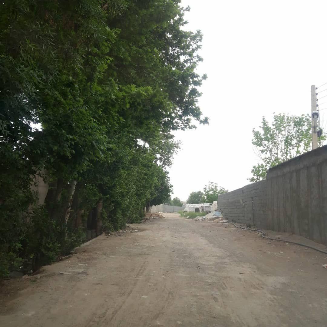 زمین 8000 متری|فروش دفتر صنعتی، کشاورزی، تجاری|تهران, مینای شمالی (مخبر)|دیوار