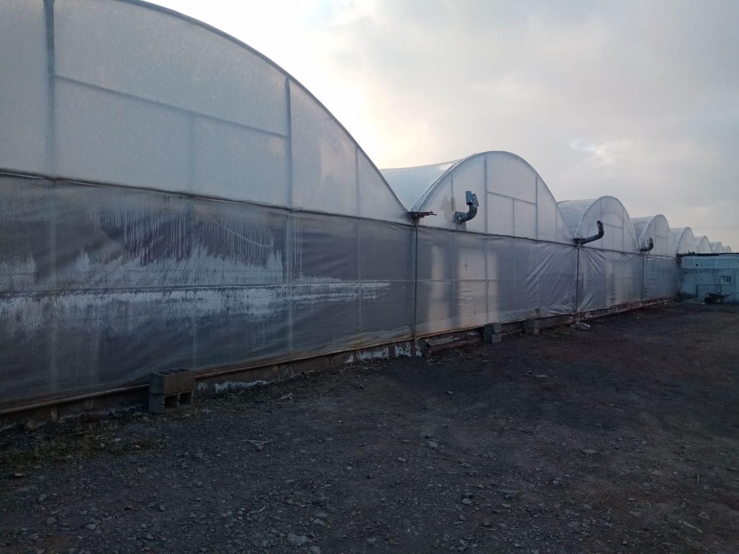 گلخانه هیدروپونیک فول امکانات در دشت|فروش دفتر صنعتی، کشاورزی، تجاری|نیشابور, فضل|دیوار