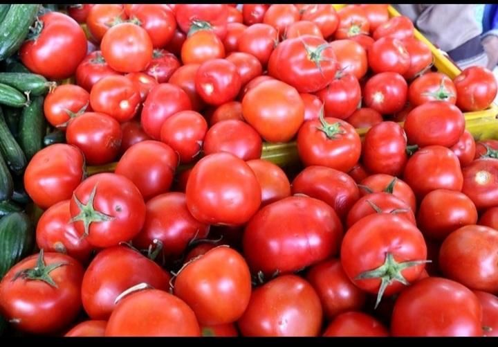 آب گوجه گیری فرسفج و روستاهای اطراف درب منزل|خوردنی و آشامیدنی|قلقل رود, |دیوار