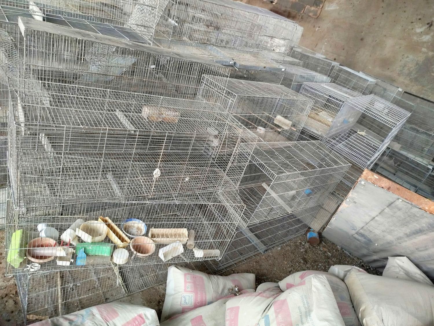 قفس قناری|لوازم جانبی حیوانات|اصفهان, ارغوانیه|دیوار