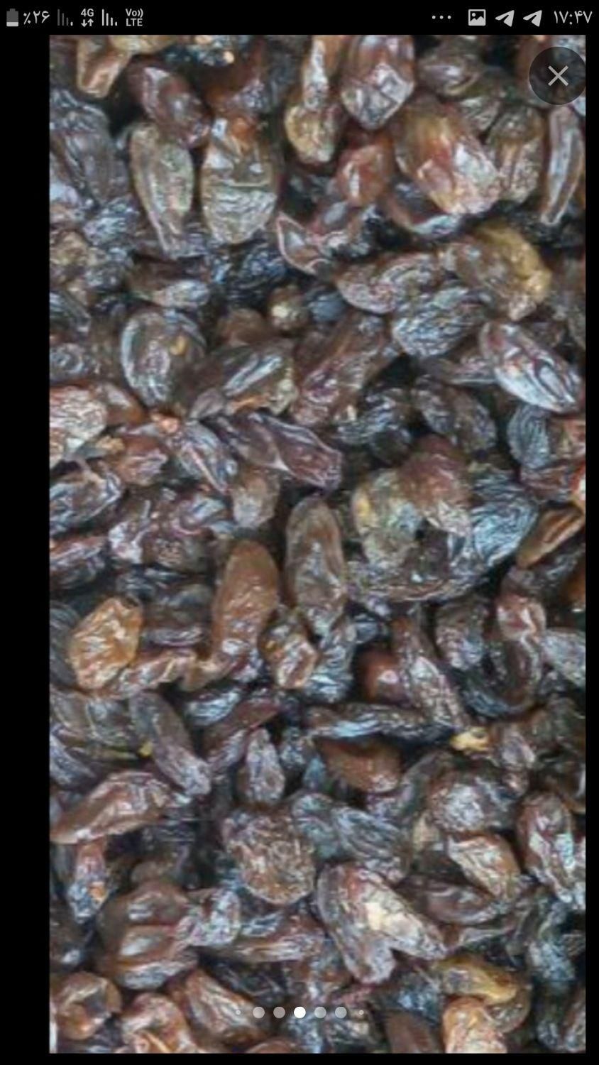 انواع کشمش و مویز سایه خشک و کشمش افتابی|خوردنی و آشامیدنی|کرمانشاه, |دیوار