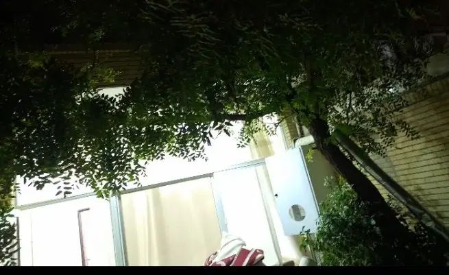 اجاره دربست ویلایی|اجارهٔ خانه و ویلا|اصفهان, سروستان|دیوار