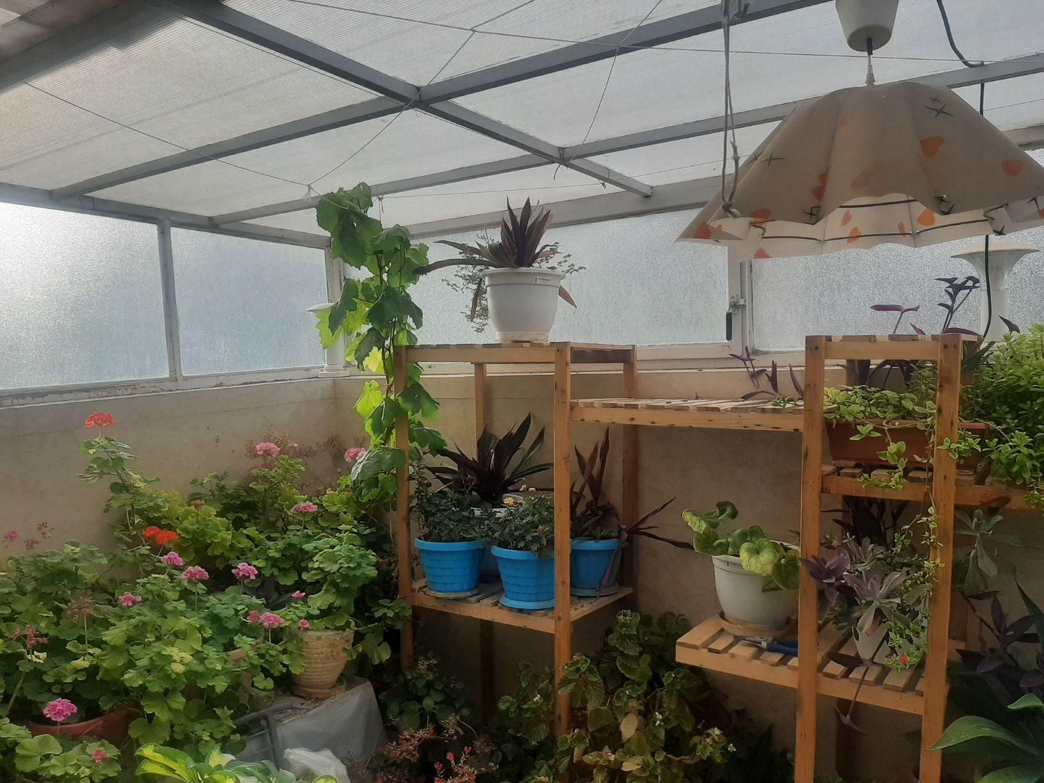 ویلایی گلدیس (موارد دیگر موجود)|فروش خانه و ویلا|شاهین‌شهر, شهرک گلدیس|دیوار