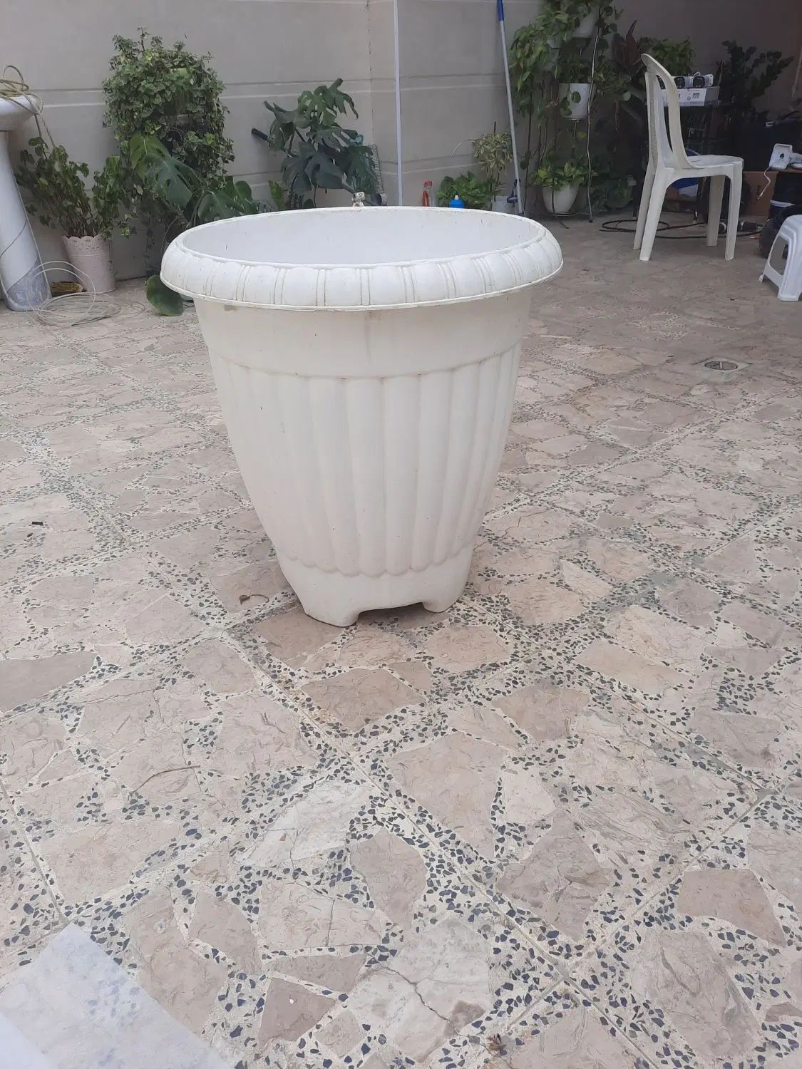 گلدان سایز بزرگ|گل و گیاه طبیعی|رشت, کوی حسینی|دیوار