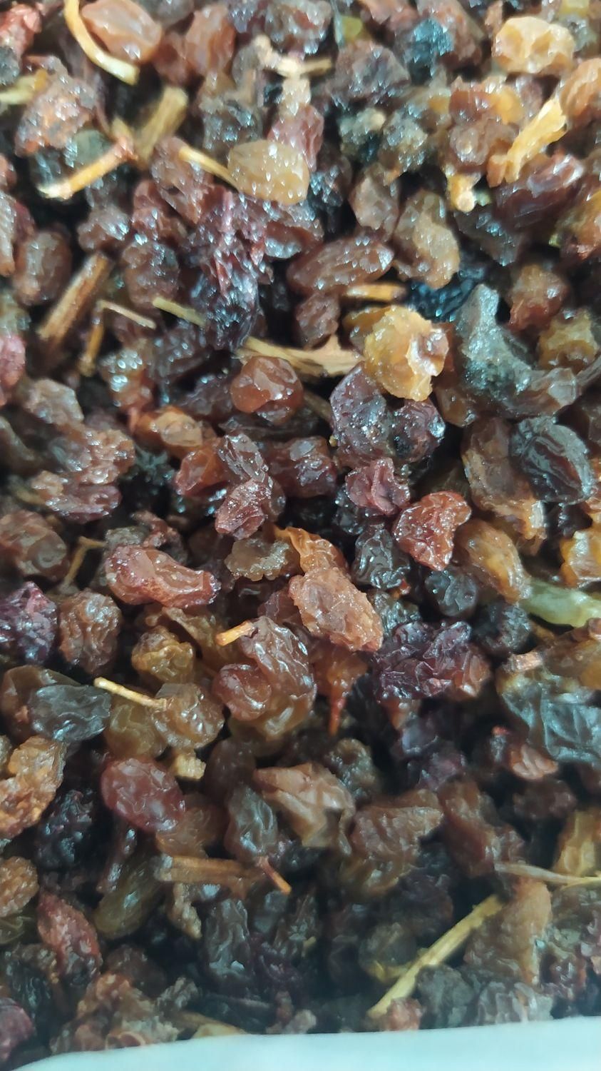 کشمش بیدانه سرکه ای|خوردنی و آشامیدنی|تاکستان, |دیوار