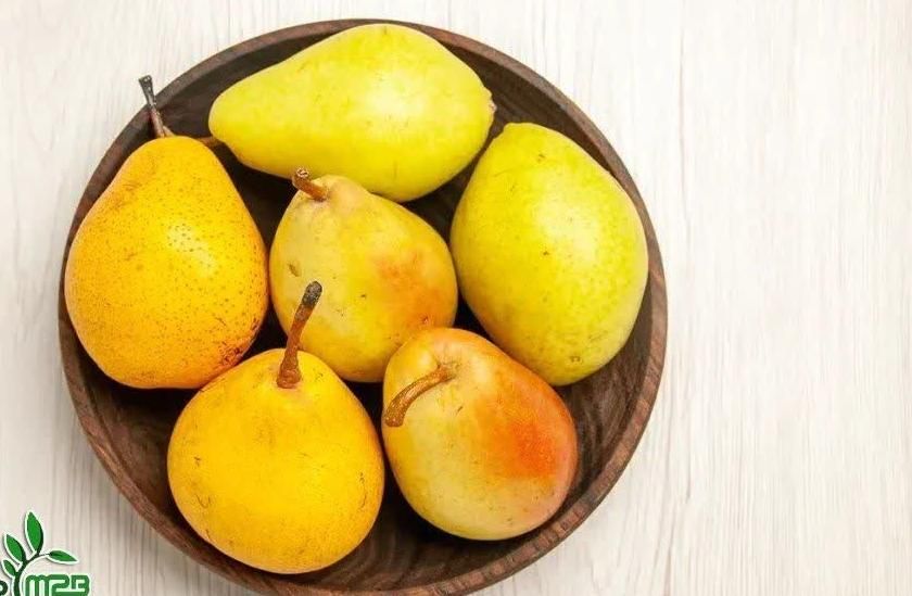 توزیع درخت گلابی کنکورد مقاوم بصورت گلدانی|خدمات باغبانی و درختکاری|هشتگرد, |دیوار