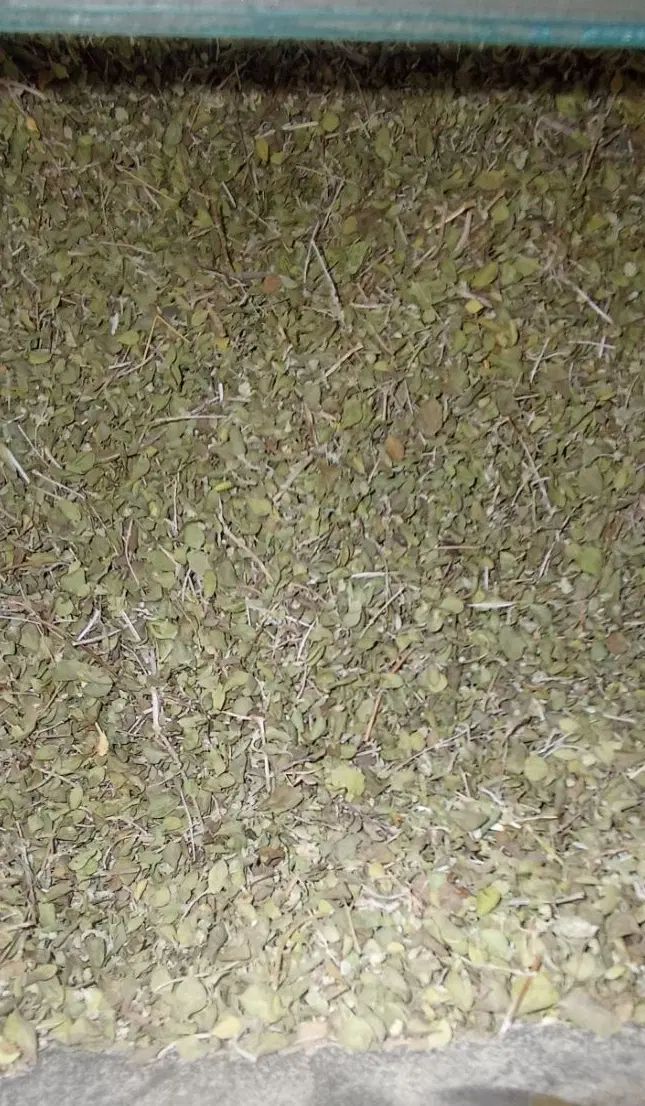 آویشن شیرازی بار درجه یک|خوردنی و آشامیدنی|تهران, شهرک کوهسار|دیوار