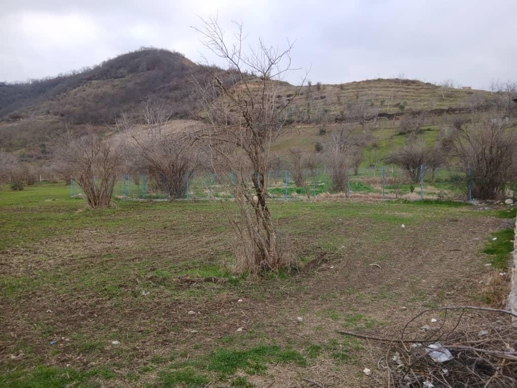 مازندران .گلوگاه جاده بردنا سایت پرواز|فروش زمین و ملک کلنگی|سرخه حصار, |دیوار