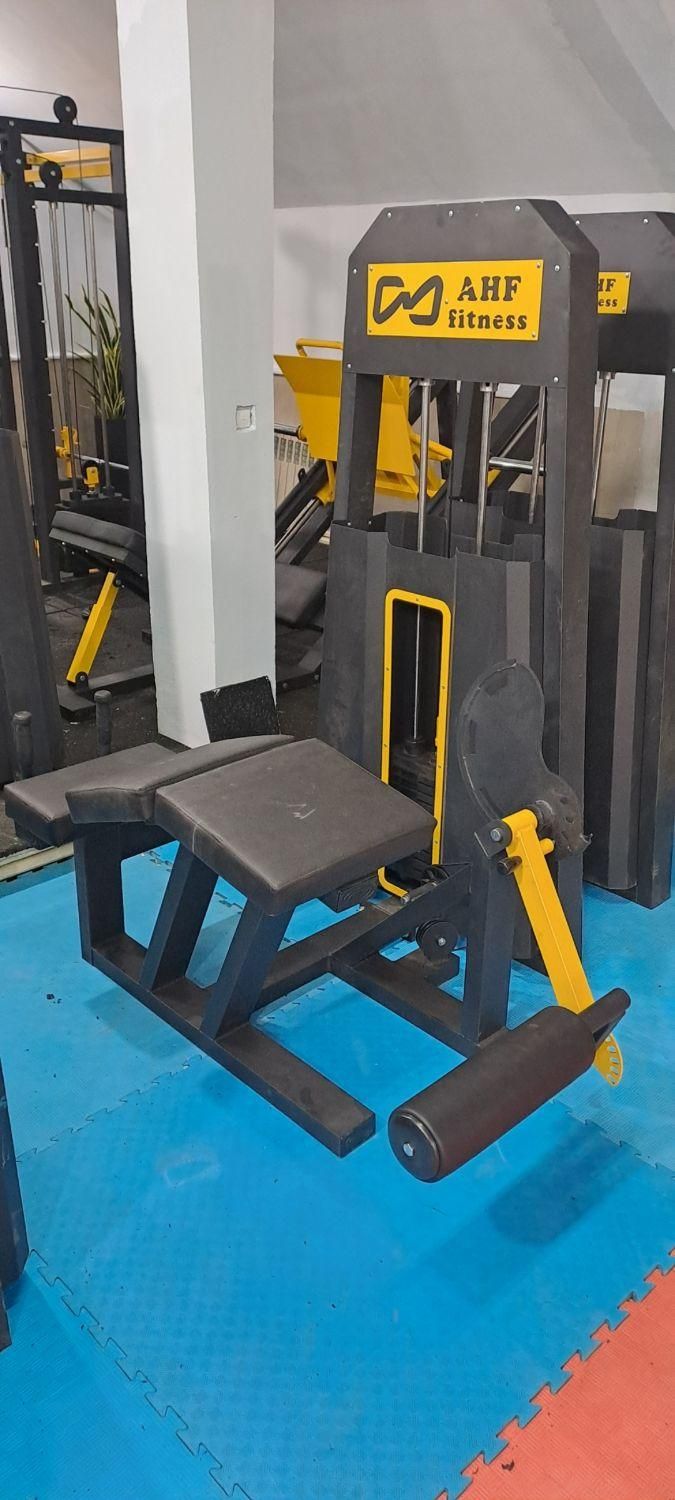 انواع دستگاه بدنسازی باشگاهی طرح DHZ Pro|تجهیزات ورزشی|تهران, اقدسیه|دیوار