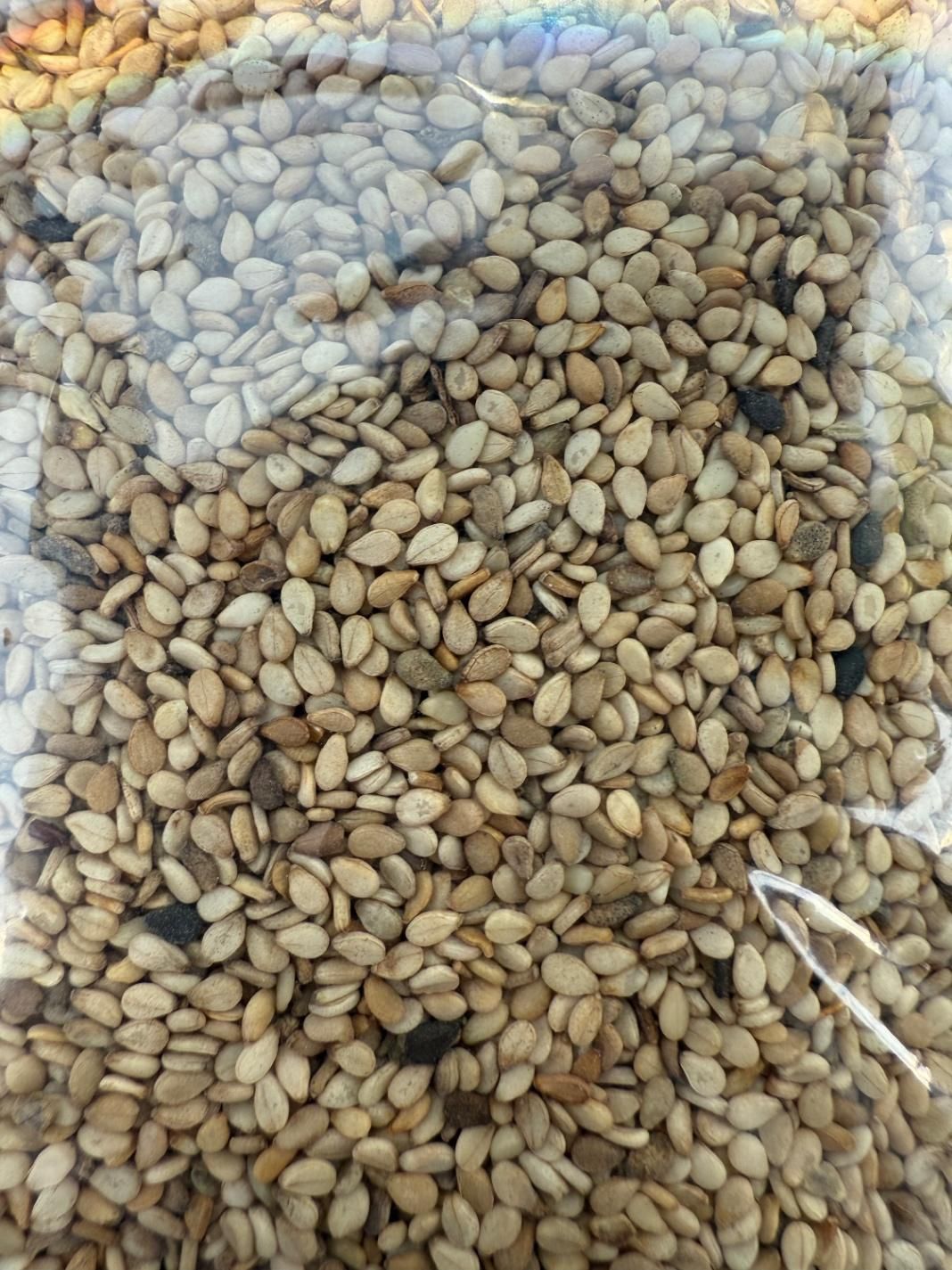 کنجد بلال پاکستانی درجه یک مناسب روغن گیری|خوردنی و آشامیدنی|مشهد, کارمندان دوم|دیوار