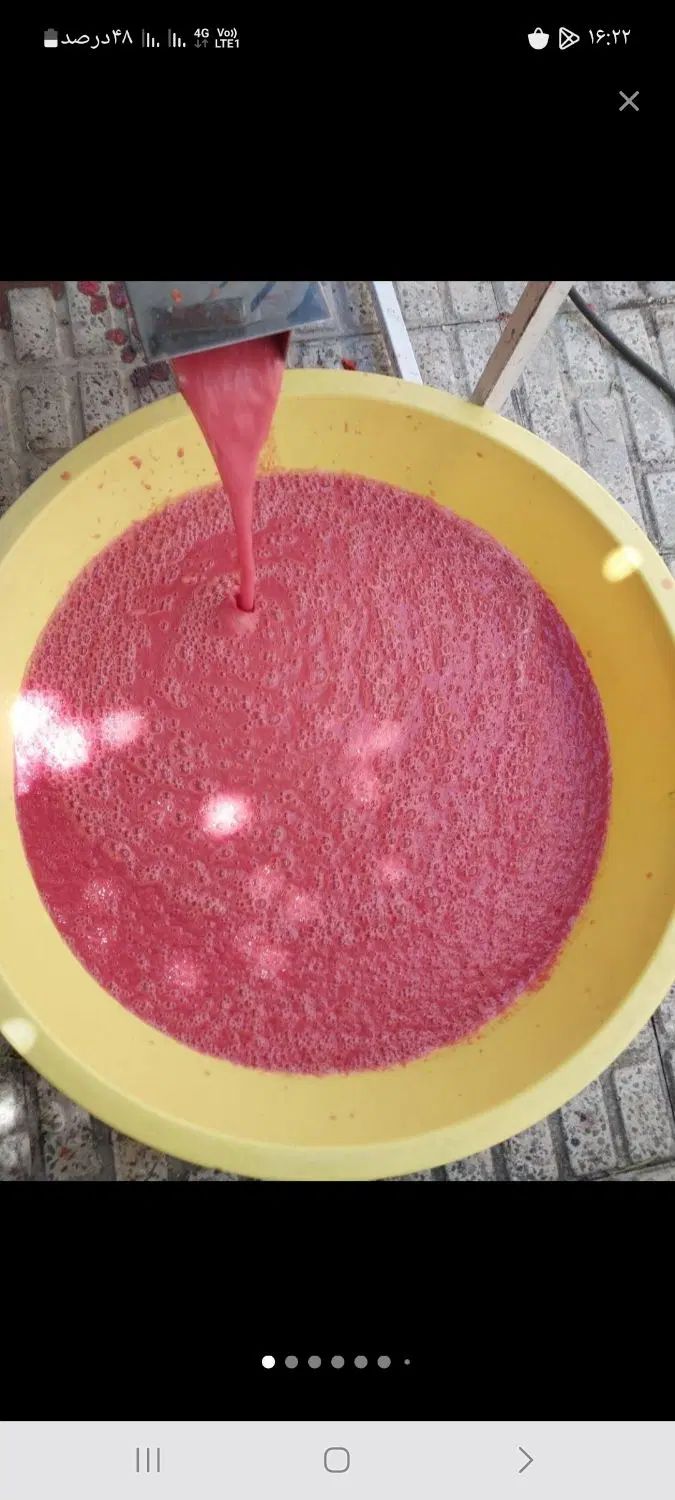 ابگیری گوجه فرنگی با دستگاه خارجی|خوردنی و آشامیدنی|کرج, حصارک بالا|دیوار