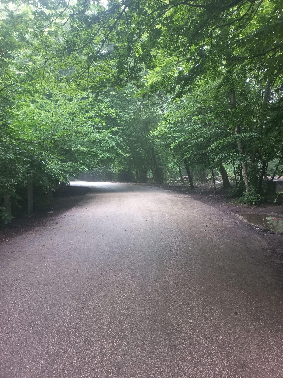 راهنمایی برای طبیعت گردی جنگل|تور و چارتر|مشهد, دانش|دیوار