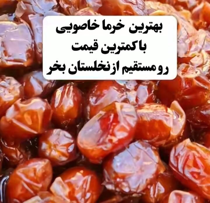 فروش خرما|خوردنی و آشامیدنی|تهران, دانشگاه تهران|دیوار