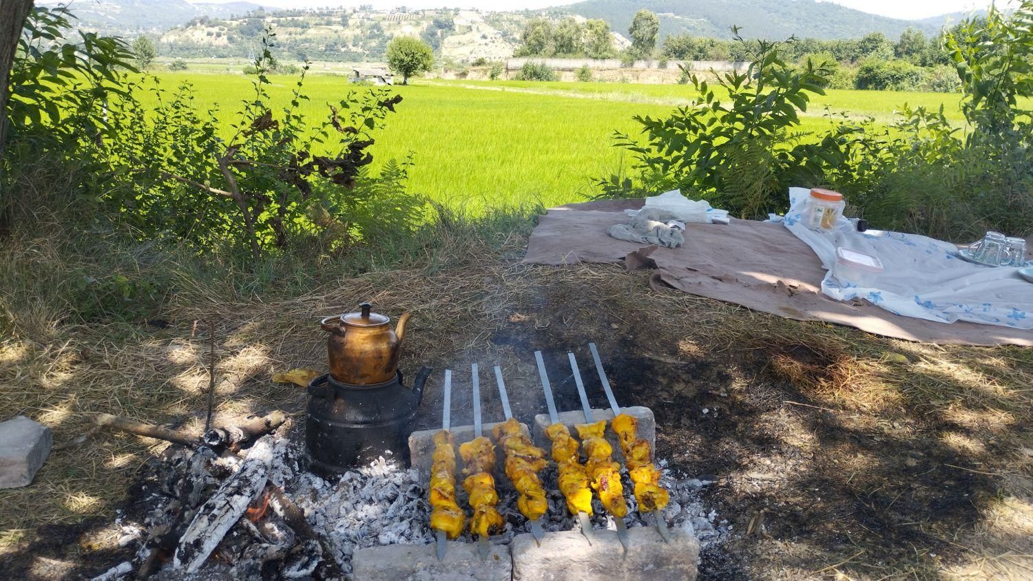 فروش ۱۳۰۰ متری|فروش دفتر صنعتی، کشاورزی، تجاری|ساری, |دیوار