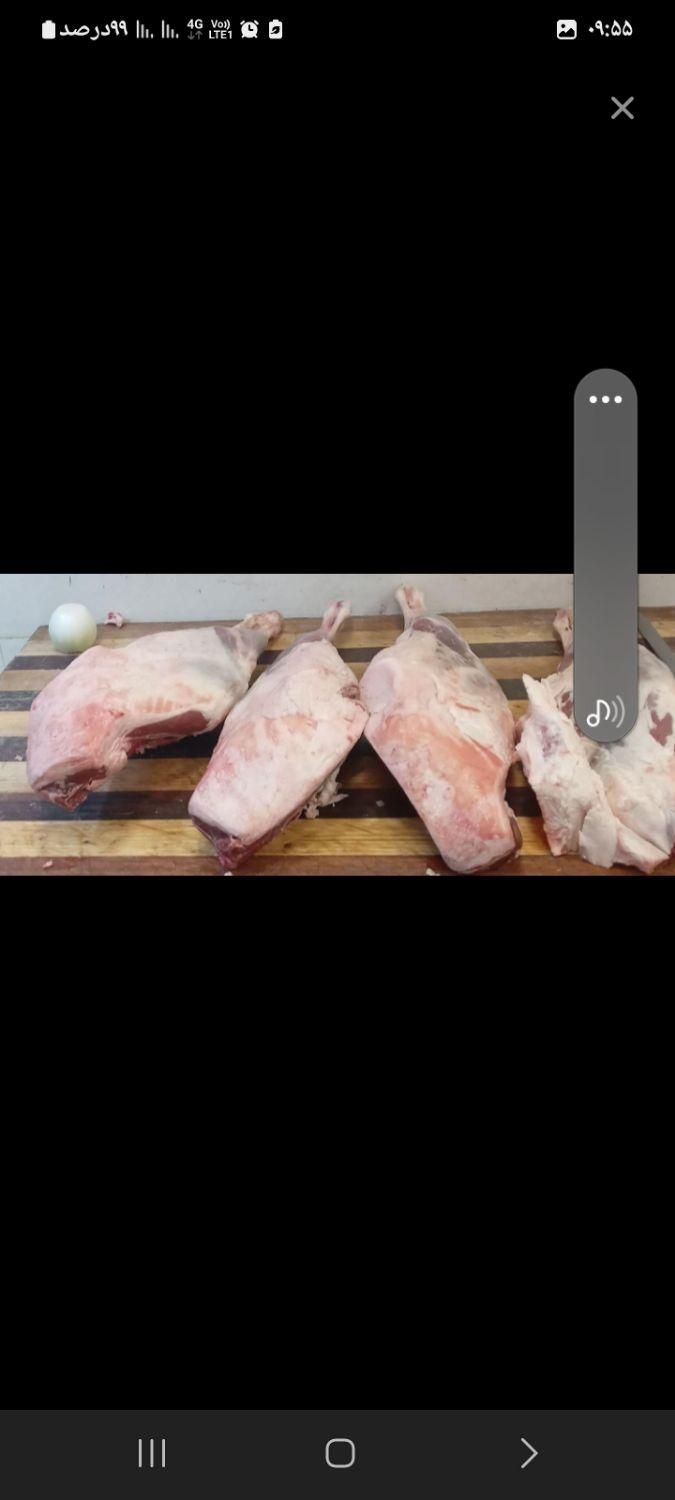دنبه ، چربی گوساله، خرده گوشت گوساله|خوردنی و آشامیدنی|کرج, گوهردشت|دیوار
