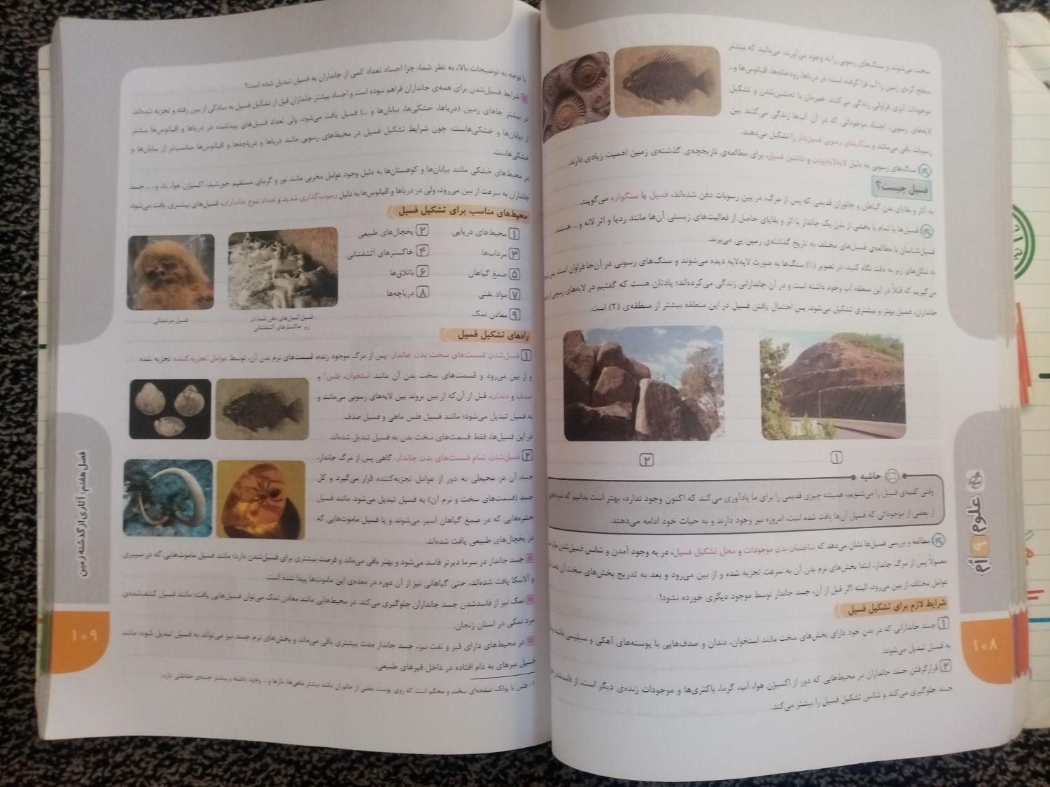 علوم نهم خیلی سبز (کتاب کار)|کتاب و مجله آموزشی|شیراز, شاپورجان|دیوار