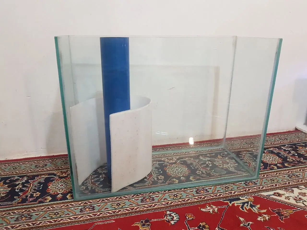 آکواریوم سالم|ماهی|تهران, مهستان|دیوار