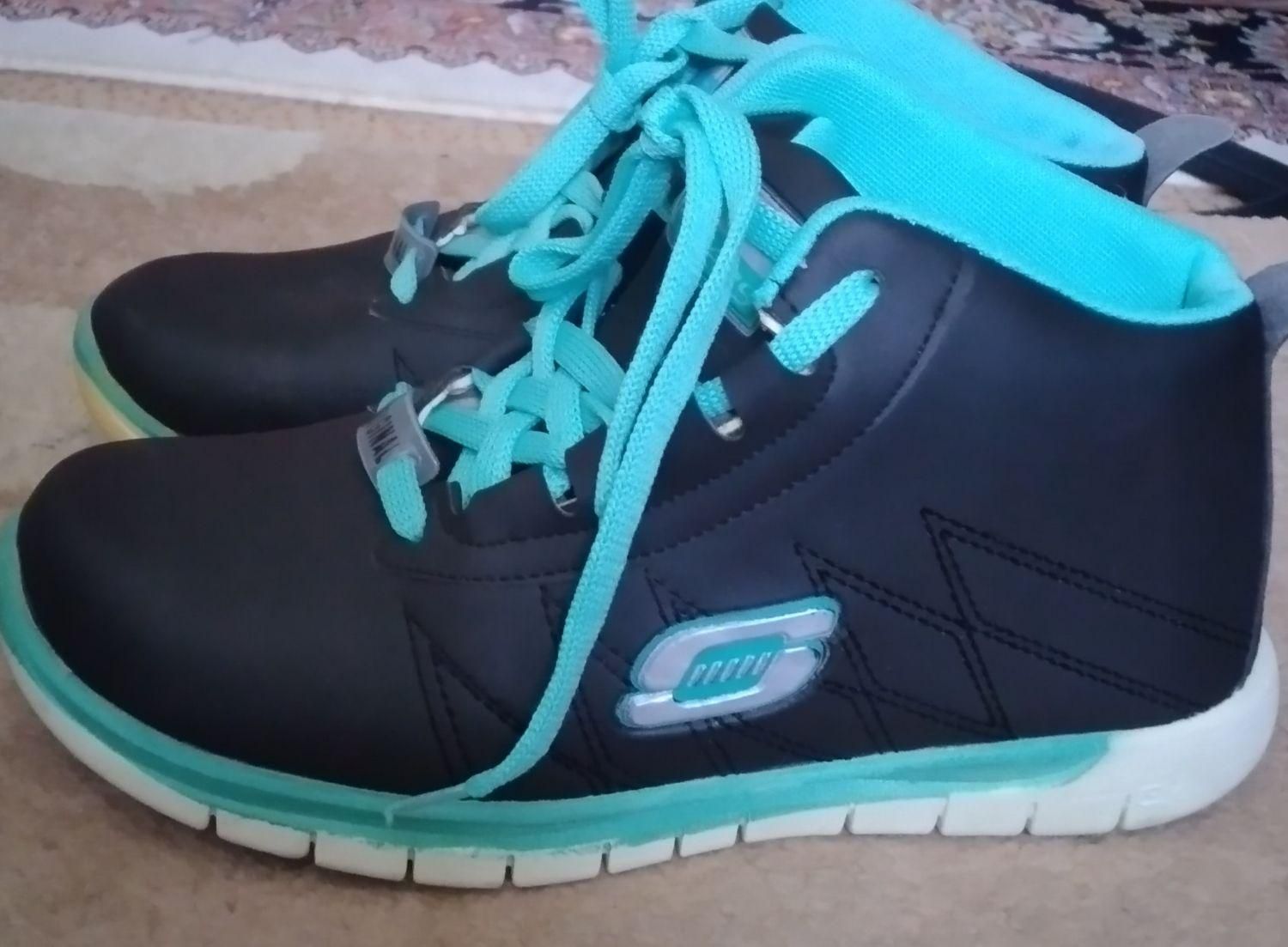 کفش|کیف، کفش، کمربند|قروه, |دیوار