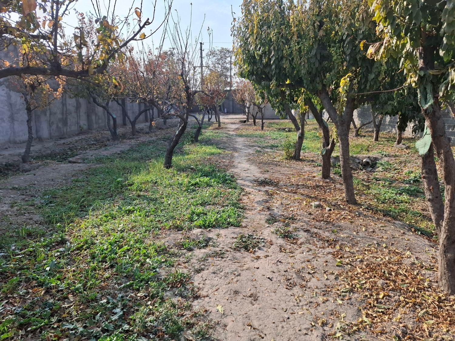 فروش ۹۵۰ متر باغ چهاردیواری در تهران‌سر|فروش دفتر صنعتی، کشاورزی، تجاری|تهران, تهران‌سر|دیوار