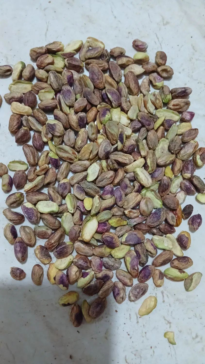 مغز پسته|خوردنی و آشامیدنی|تهران, تهران‌نو|دیوار