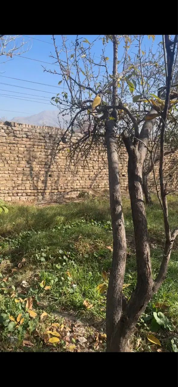 فروش زمین ۵۰۰ متری در کلاک پایین|فروش زمین و ملک کلنگی|کرج, کلاک پایین|دیوار