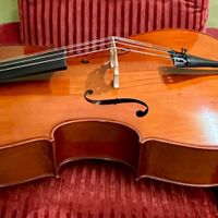 Cello TF 110 student model|ویولن|تهران, اکباتان|دیوار