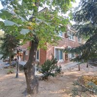 کلنگی-بی-بدیل-بر-یاسر-و-عمار-620-متر-طلایی