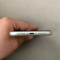 اپل iPhone 11 با حافظهٔ ۶۴ دوسیم|موبایل|تهران, استاد معین|دیوار