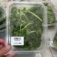 سبزیجات مدیترانه ای و انواع قارچ|خوردنی و آشامیدنی|تهران, جردن|دیوار