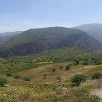 امتیاز-زمین-تربیت-بدنی